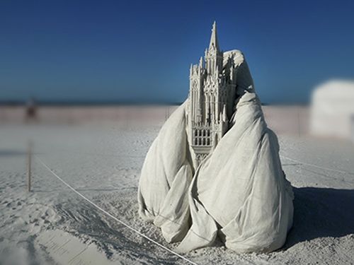 2015 First Place Winner Image